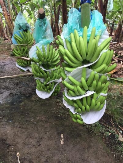 EE53471C-54D7-41AF-8A05-5D5413776D9C