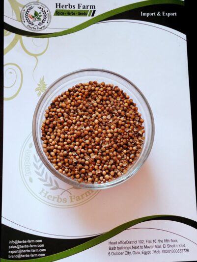 WhatsApp Image 2022-06-09 at 2.35.48 PM