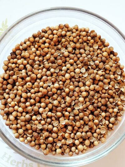 WhatsApp Image 2022-06-09 at 2.34.42 PM