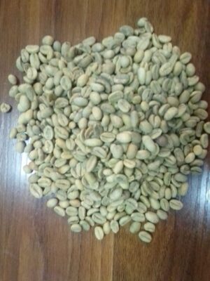 IMG_20220614_180548_874