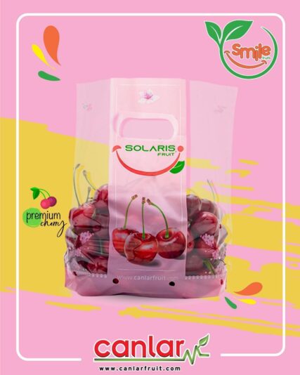 AE507CD2-8522-49F4-B563-1C1B346FE497