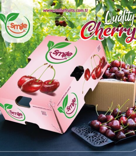 F70985BE-5FBB-4469-A62A-445268CB8714