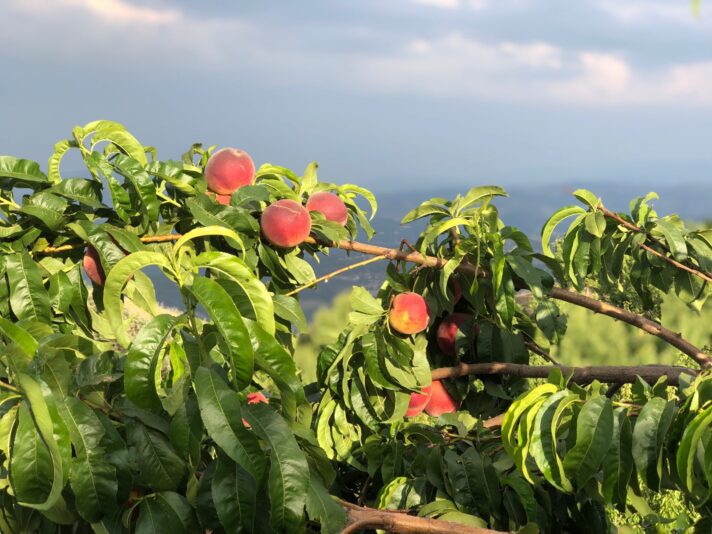 95845990-D048-46C7-A21D-E68039B07002