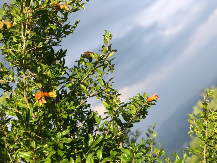 EC45606A-E830-4CB1-B365-62144B76DEC3