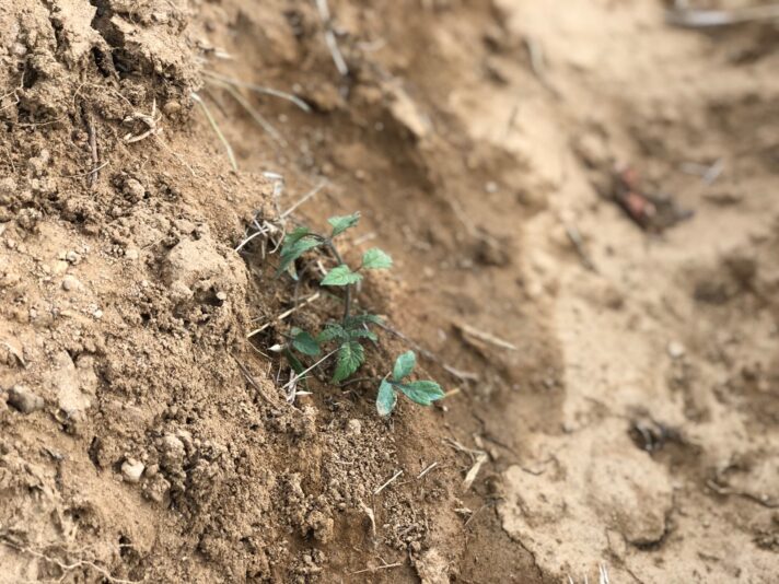 1BE6EB16-AADE-4088-852A-3D25283EEEBF