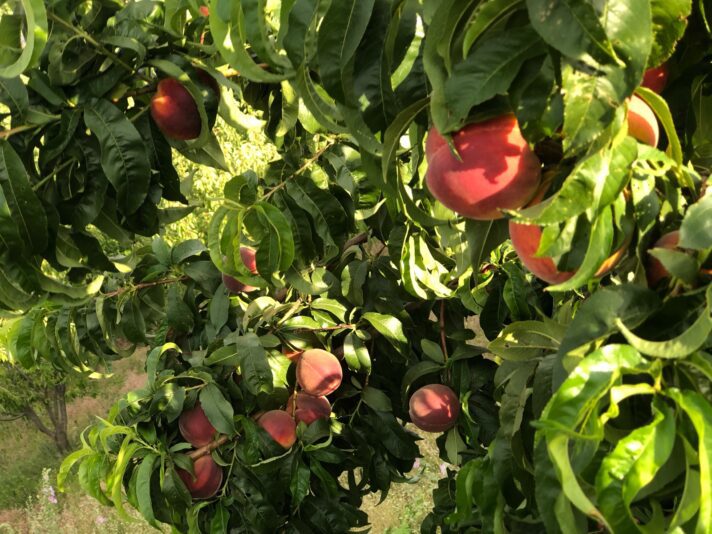 C47BF886-42CF-4458-97E8-BE684DB4B672