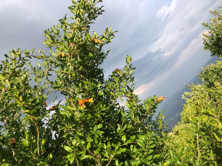 FC6B9DAC-686D-49D0-8308-812E5B26812E