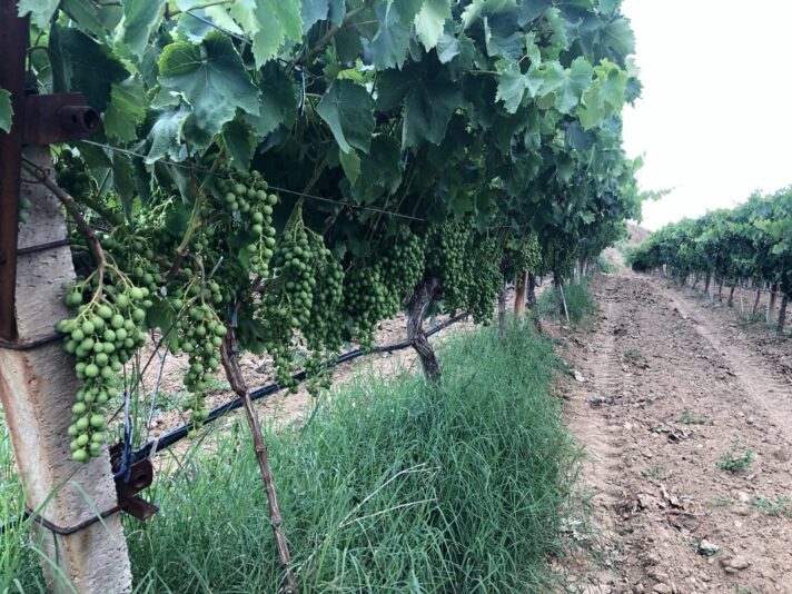 42E2E6A6-F5C7-43AA-855C-87664E61DF83