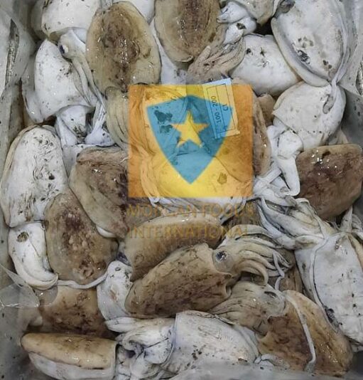 WhatsApp Image 2022-07-18 at 2.59.06 PM (1)