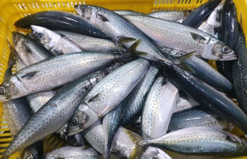 fb9581ae-e8b2-4dcc-b297-a173e6116803