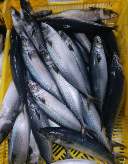 0a074fd1-4f1c-4ad4-aa8a-4d2d3057d9c5