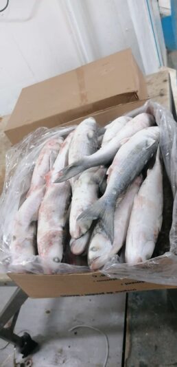 57c58284-9861-48ee-ac04-00525458893a