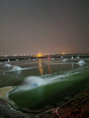 32e8c94e-23ca-4e89-9f8f-a8d251511b44