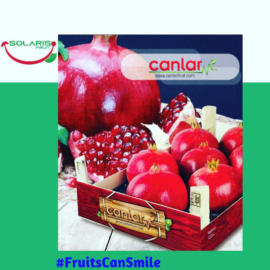 E4CBA9F5-FD1E-4928-ADC6-12D8BECF42BD