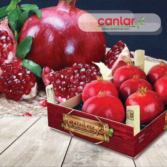 208AFED5-1D4A-415B-90B9-2BF2E81F4FCF