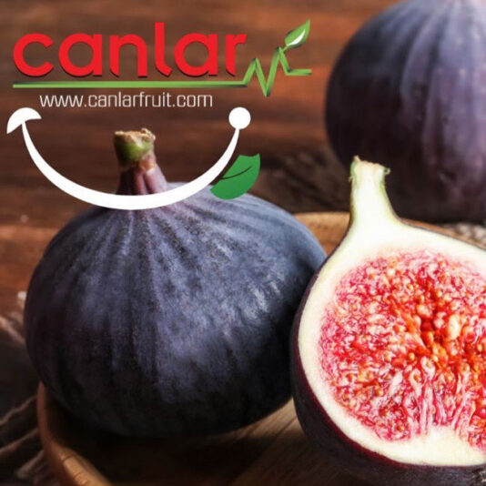 AA003849-CA0F-4D4B-BB05-E0707D956274