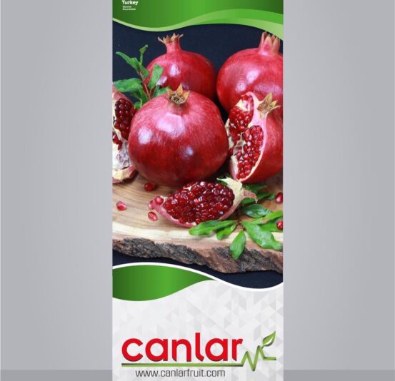 1DA10B67-0965-42BB-887C-83D15C4606FD