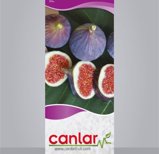 A200DCDF-9988-4D4E-A7EB-C79D41B4107B