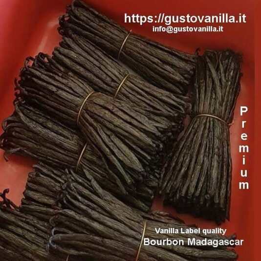 vanilla bourbon madagascar gustovanilla