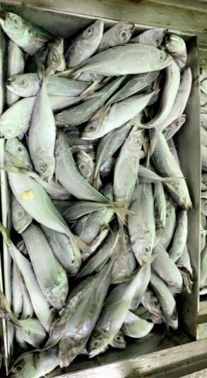 C131E7F2-4F6E-494B-BDF3-C3C0750A8665