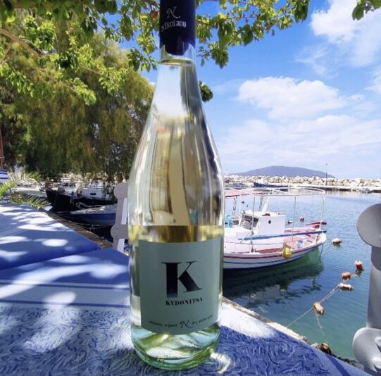 9D17E523-A29F-44EA-B9EA-D1F4C5F87ADB