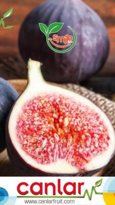 F4E00249-432E-4A62-8955-B05CDCE11201