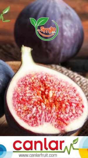 F4E00249-432E-4A62-8955-B05CDCE11201