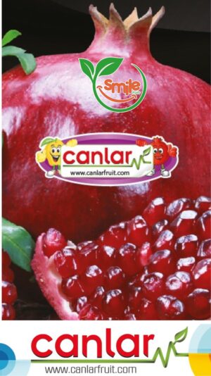 C5DAACBD-E91D-4190-BBF0-D7B866F76185