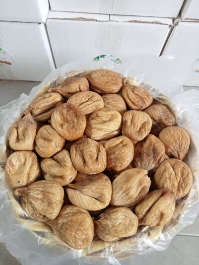 WhatsApp Image 2022-08-29 at 10.20.51