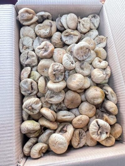 WhatsApp Image 2022-08-29 at 10.20.52 (1)