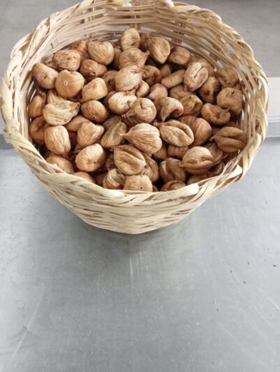 WhatsApp Image 2022-08-29 at 10.20.51 (1)