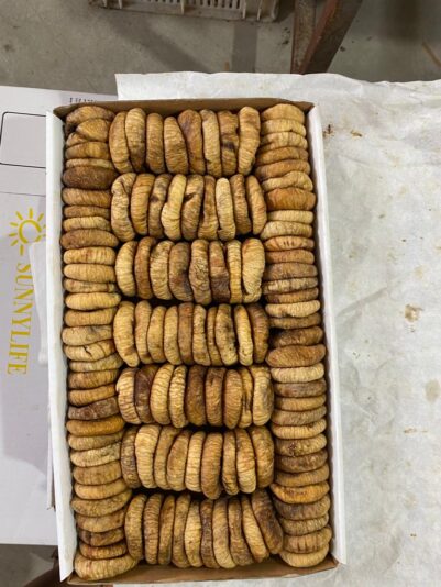 23e51229-2b09-4b1b-aa79-32df1845b15d