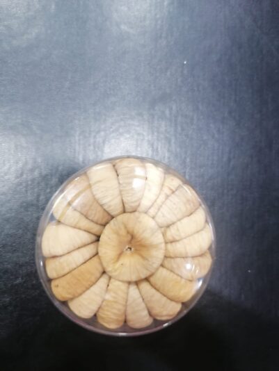 1aa70363-ec4b-4c2e-8a8b-aa21f7196d8e