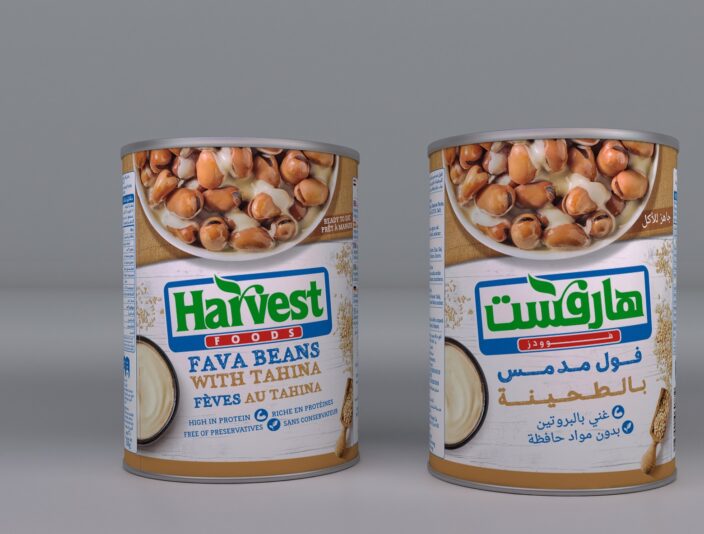 fava beans with tahina