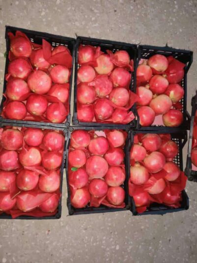 258273ab-1e91-4a58-8329-f9468f92969d