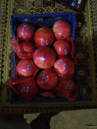 290f6074-dff9-4fae-b171-c62c912d9240