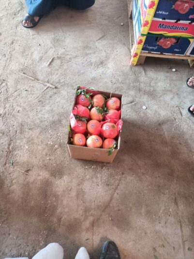 566eeb54-d35c-41a6-8dbc-093419974647