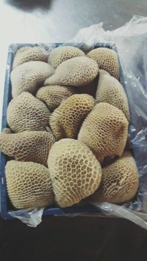 VINTAGE HONEY COMB