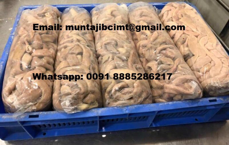 54383097_175514870084234_2792874540890324992_n