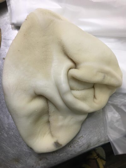 107103630_270747524376796_6648130504317970025_n