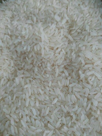 244339098_997219360822336_9208605396876842928_n (1)