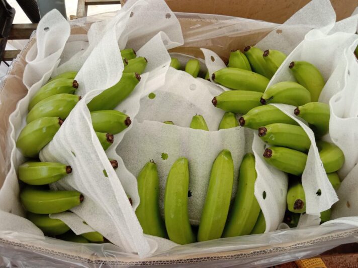 244280846_3230814897145906_6300786382947383687_n