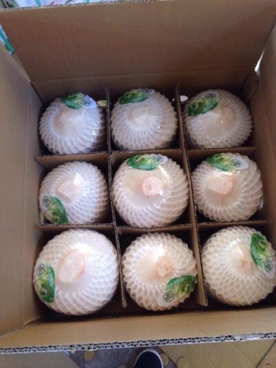 167017057_509838027070024_5596607541847196834_n