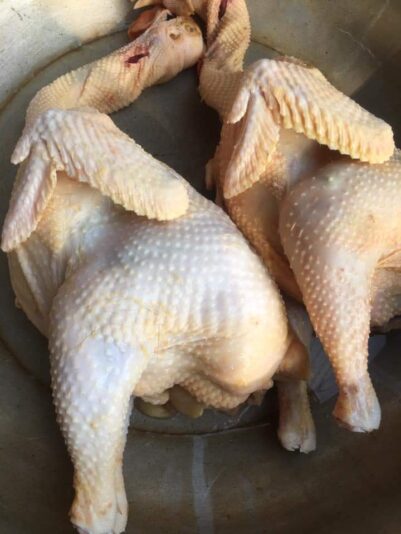 FB_IMG_1628561276006