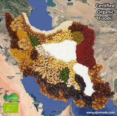 Iran-Geo-Organic-Map-low
