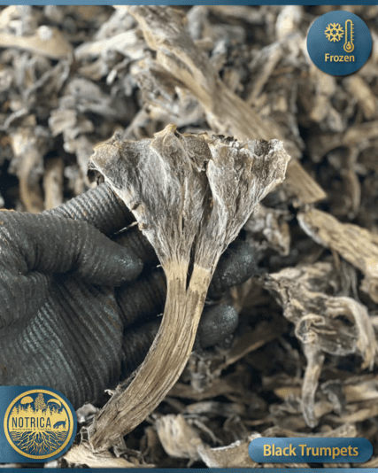 005---BlackTrumpets---LinkedIn