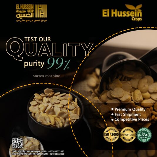 2c93f7fd-238f-4a0f-95e6-9093d78d2ed2