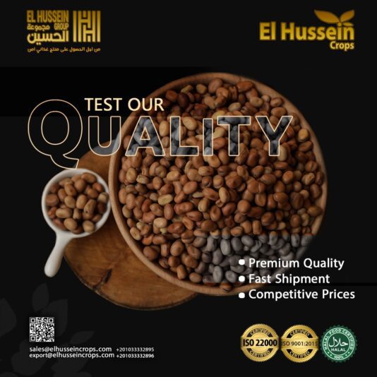 372188cd-8aff-4693-8dd3-4e52091e3bb0