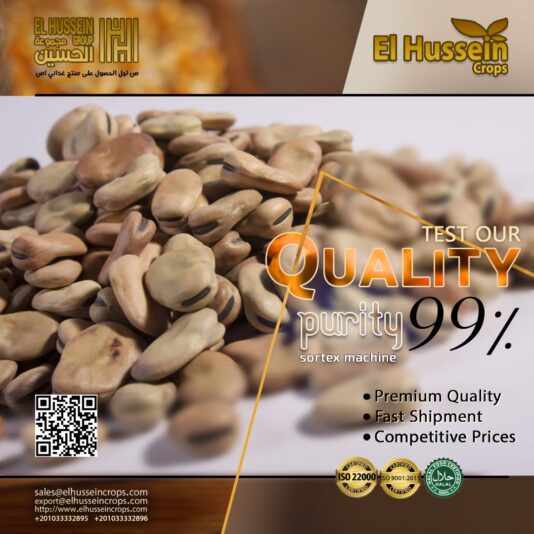 a3bec3ba-ce21-4b32-8f27-ff8aa07b6de6