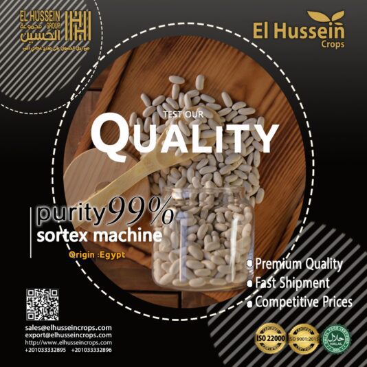 6bc007c8-d50a-4932-bc1b-222f625f5d14